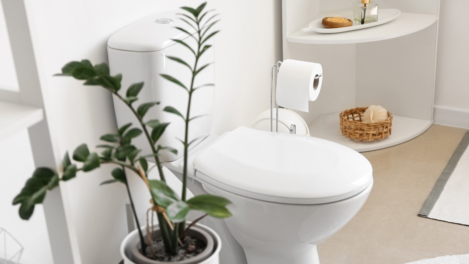 Answered: Why Won't My Toilet Quit Running and Five Other Top Issues